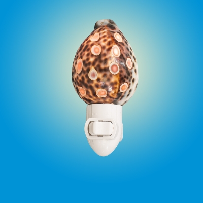 NL4031 - Spotted Tiger Cowrie Night Light