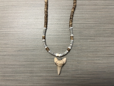 SN-4126 - Genuine Shark Tooth Necklace w/ Coconut & Heishi Beads