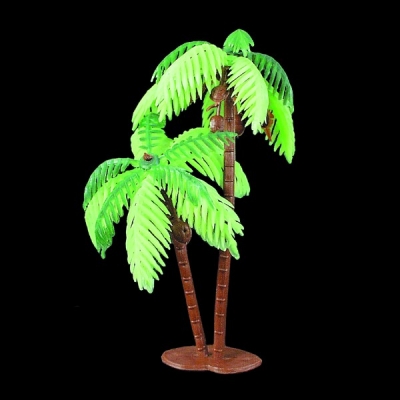 Double Palm Tree - Large
